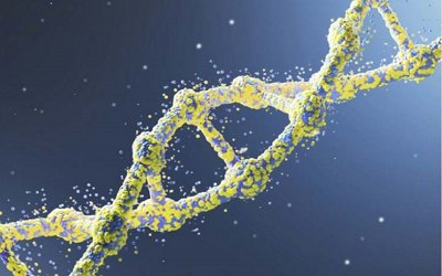 services page images - Genomics