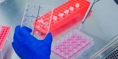close up of human cell culture technique