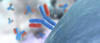 Immunoassay