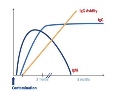 Contamination Chart