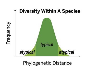 Knowledge Base - Diversity Within a Species