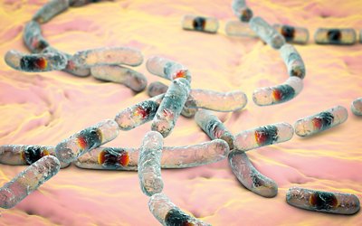 Microbiological Quality Control Bacillus cereus