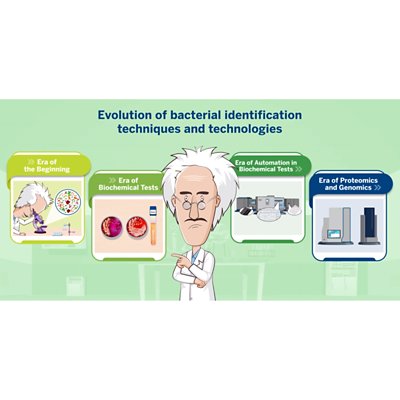 Clinical and Microbiological Considerations for Reporting 