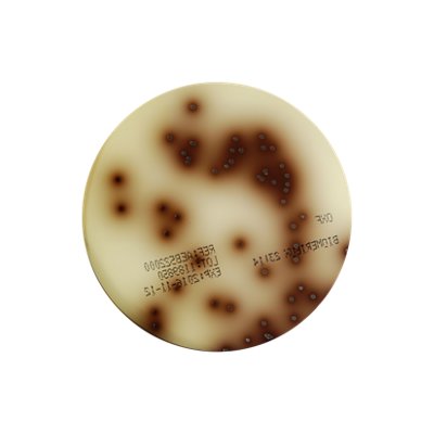 Oxford Agar