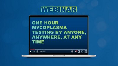 One Hour Mycoplasma Testing