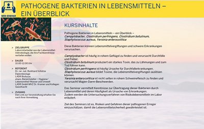 Path. Bakterien in Lebensmitteln