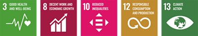 UN Sustainable Development Goals (SDGs)