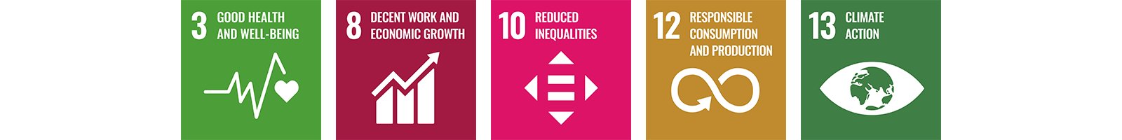UN Sustainable Development Goals (SDGs)