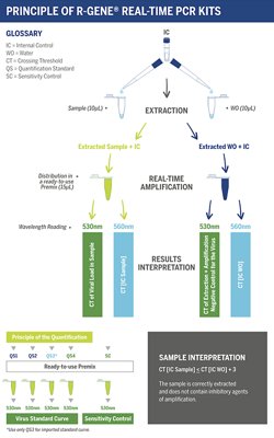 ARGENE Transplant