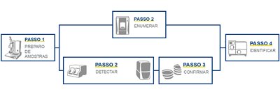 Products-Protocol-Charts