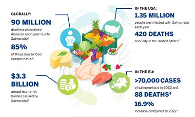 This image illustrates the distribution of Salmonella contamination by region and the consequences. 