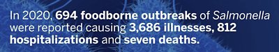 Salmonella foodborne outbreaks