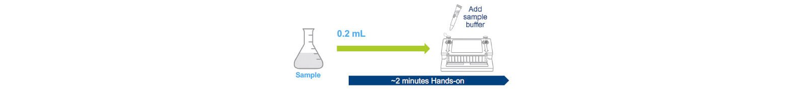 sample protocol