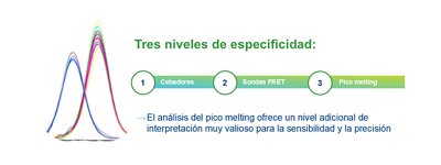 3 niveles de especificidad