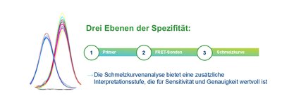 3 Spezifitätsstufen