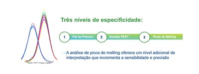Três níveis de especificidade