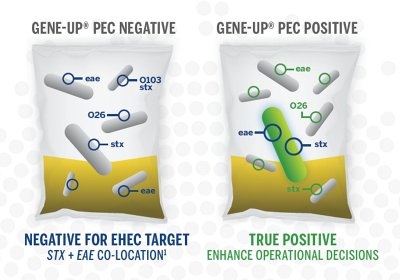 Behind the science of GENE UP PEC