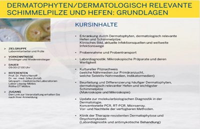 CH Dermatophyten GL 141227