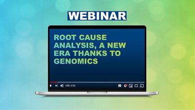 webinar title