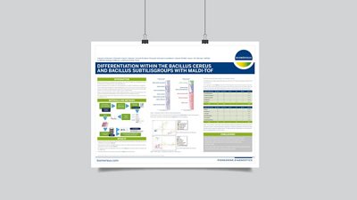 Mycoplasma release test with low volume protocol: From sample to results in less than 1 hour