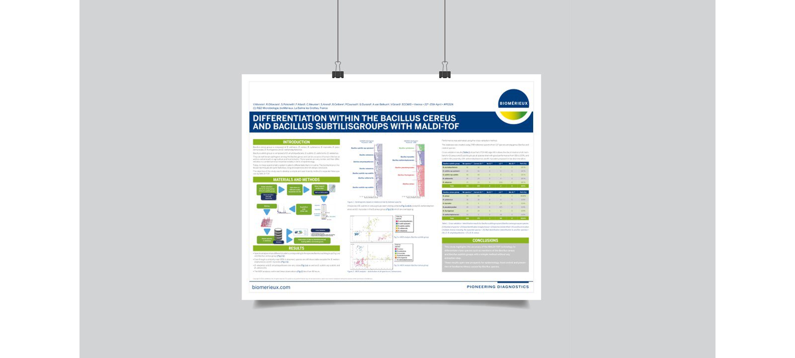 Mycoplasma release test with low volume protocol: From sample to results in less than 1 hour