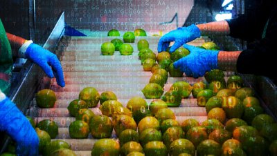 Innovations in Food Safety: A Q&A with Data Science Experts on Predictive Analytics