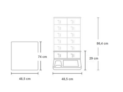 TORCH Diagram