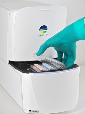 GENE-UP - Product Image