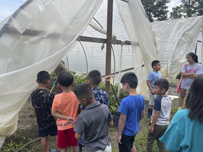 tranplanting traditions community farm 