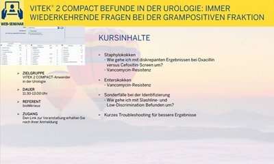 V2C grampositive Fraktion