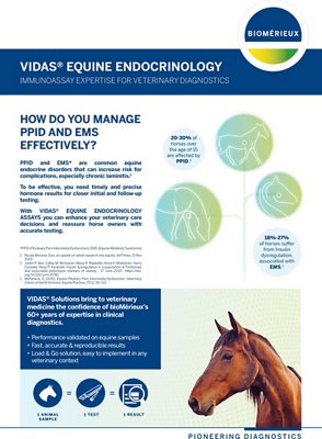VIDAS-EQUINE-ENDOCRINOLOGY-Brochure-thumbnail