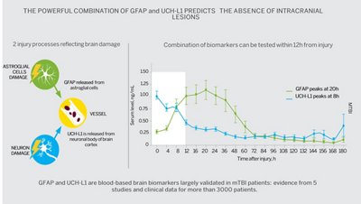 vidas_tbi_graph