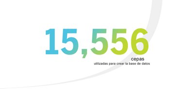Cepas de la base de datos VITEK MS