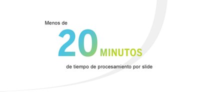Cepas de la base de datos VITEK MS