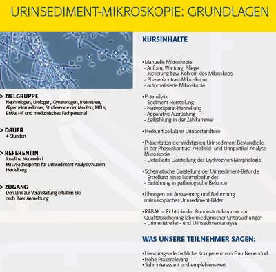 WEB261125N