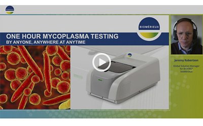 One Hour Mycoplasma Testing