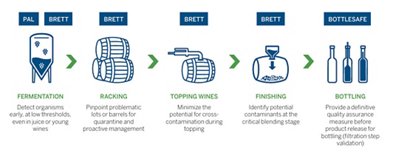 bioMérieux Wine Testing Process