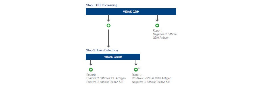 GDH Screening