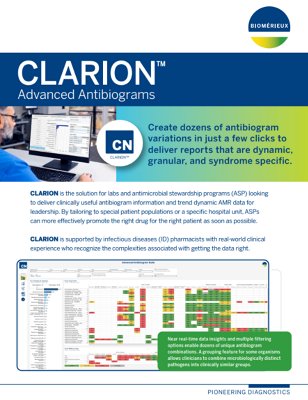 CLARION-cybersecurity-brochure