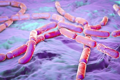 Shiga toxin-producing E. coli