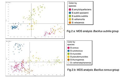 MALDI-TOF technology in species-level identification