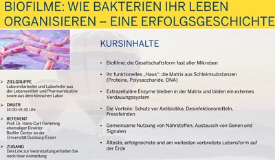 Biofilme