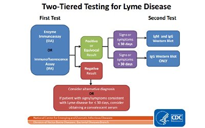 Two-Tiered Testing for Lyme disease 