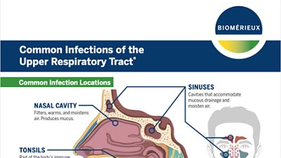 Cover -Common Infections of thr Upper Respiratory Tract Graphic 