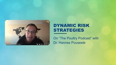 dynamic risk strategies poultry