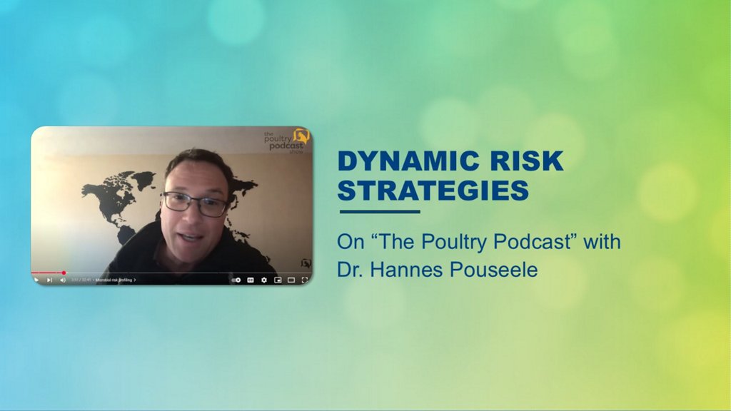dynamic risk strategies poultry