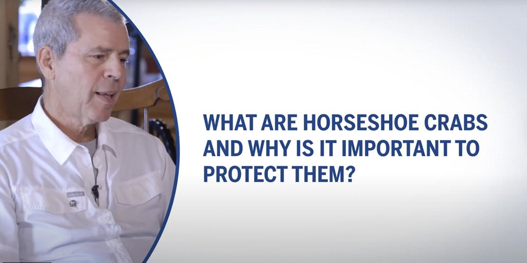 Screenshot from Youtube video: Glenn Gauvry Endotoxin talks 