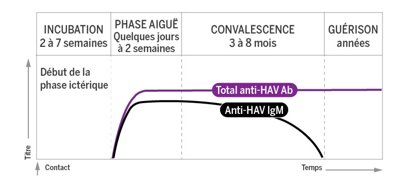 25-Hepatitis A - Standard Profile (1)_FR