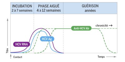 25-Hepatitis C - Standard Profile (1)_FR
