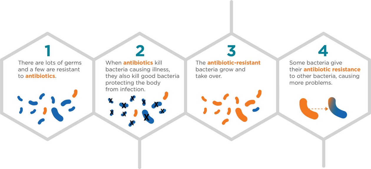 What is an Antimicrobial